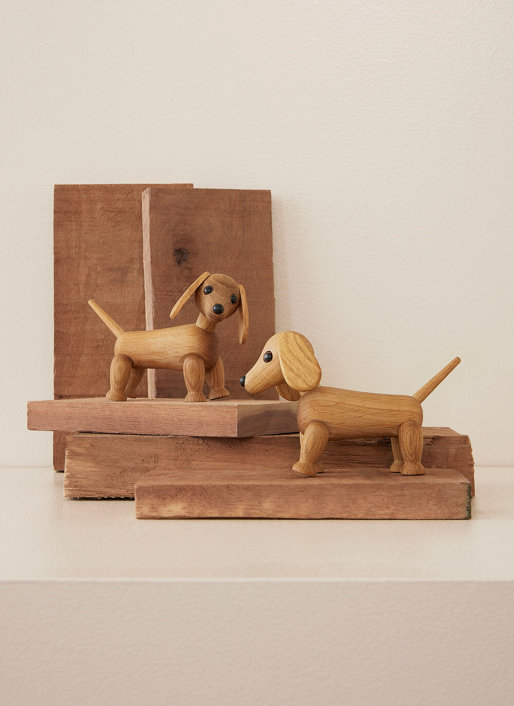 Snap hund - eg